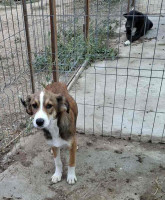 /album/248/558646240-1164398282454903-3208884926658790708-n-jpg/