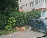 /album/249/559127944-1164403075787757-1962301398266010285-n-jpg/