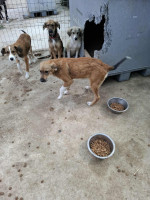 /album/249/557561374-1164402992454432-5699863656877570207-n-jpg/