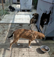 /album/249/559532674-1164402855787779-8810964466530518979-n-jpg/