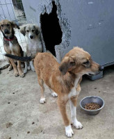 /album/249/557138678-1164402589121139-2788972867035920690-n-jpg/