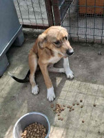 /album/249/559437423-1164402662454465-782077743431329902-n-jpg/