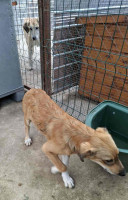 /album/249/558278538-1164402599121138-7637815142409477665-n-jpg/