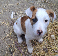 /album/mei-juni-2025/494566303-1042468734647859-8938022641249436608-n-jpg/