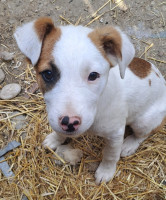 /album/mei-juni-2025/495142806-1042468691314530-6846870641166752791-n-jpg/