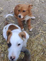 /album/mei-juni-2025/495375241-1042468601314539-9156979283464061981-n-jpg/