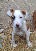 /album/mei-juni-2025/495039155-1042468604647872-3073473742229444027-n-jpg/