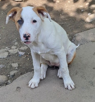 /album/mei-juni-2025/506199196-1071103305117735-1744711906012803323-n-jpg/