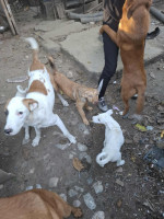 /album/september-20253/565112193-1176720847889313-6698616303504484151-n-jpg/