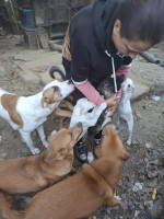 /album/september-20253/565323463-1176720794555985-8335332532438232977-n-jpg/