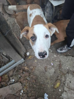 /album/september-20253/568273191-1176720954555969-2420190563052480048-n-jpg/