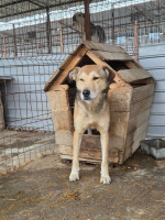 /album/19-11-20256/f2b4a2b0-619c-4e2a-861c-efbcd29d74f6-jpeg/