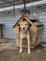 /album/19-11-20256/05861b10-a29f-4fcd-80ab-cc2c8ba60f6a-jpeg/