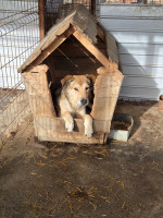 /album/19-11-20256/aeb231ce-8031-4f97-8dce-8a855c733e99-jpeg/