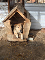 /album/19-11-20256/13fd3c00-b93d-4cd7-8b6b-669332a462bd-jpeg/