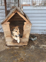 /album/19-11-20256/1e1d44fa-c025-4f66-abde-db92f18aefae-jpeg/