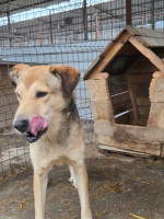 /album/19-11-20256/04ba4004-87ad-4c53-b9b0-a0054c9b7c04-jpeg/