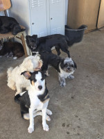 /album/26-08-20251/2eee81ef-0dce-4b54-ab2e-a775131ef7db-jpeg/