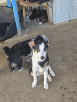 /album/26-08-20251/04b338c9-5cde-4cfa-a293-bb7b4ffb416f-jpeg/