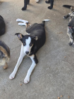 /album/26-08-20251/4b527923-a777-4bb3-af73-7c6c9ba9692d-jpeg/