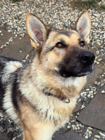 /album/111/598182933-1282610883898248-874188749616075969-n-jpg/