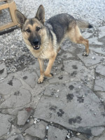 /album/111/600983836-1282615727231097-3618726863738544982-n-jpg/