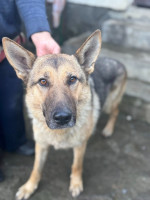 /album/111/600292567-1282615703897766-6639222031292938924-n-jpg/