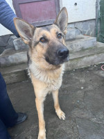 /album/111/598537647-1282615690564434-6311142085585091038-n-jpg/