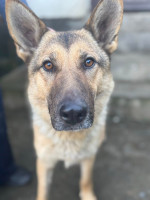 /album/111/599478291-1282615637231106-7730918056038393538-n-jpg/