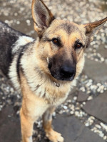 /album/111/602919214-1286210626871607-1953355906217454484-n-jpg/