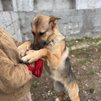 /album/111/601485457-1286210643538272-6301660096665634904-n-jpg/