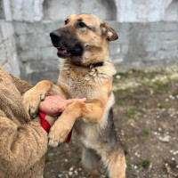 /album/111/603074446-1286210670204936-543610656079765107-n-jpg/