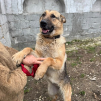 /album/111/603807668-1286210690204934-2595995932932845892-n-jpg/