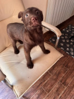 /album/237/605605444-1288900346602635-5815482624719586292-n-jpg/