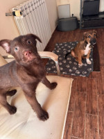 /album/237/604676243-1288899953269341-5990775808350540702-n-jpg/