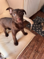 /album/237/605141098-1288900063269330-2220708330823087467-n-jpg/