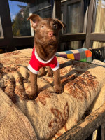 /album/237/603910843-1288900286602641-4036323800449432367-n-jpg/