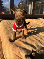 /album/237/603943886-1288899943269342-1622097994276374450-n-jpg/