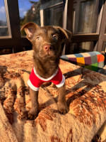 /album/237/605616939-1288899853269351-1214127529263291364-n-jpg/