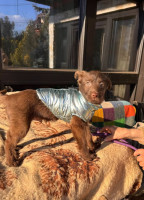 /album/237/605286927-1288899876602682-4421741738583991369-n-jpg/