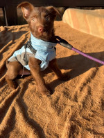 /album/237/605511413-1288899909936012-241406860900850155-n-jpg/