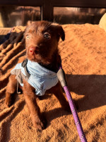 /album/237/604809661-1288900036602666-4505710902108904787-n-jpg/