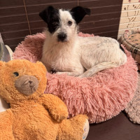 /album/251/602929173-1286566603502676-261943544635019455-n-jpg/