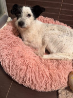 /album/251/602976453-1286566656836004-2418277321519222796-n-jpg/