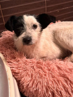 /album/251/603783635-1286566570169346-2697148808483344044-n-jpg/