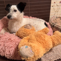 /album/251/601425187-1286566740169329-9004356037314190483-n-jpg/