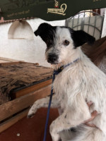 /album/251/602931247-1286566680169335-4283224282498315667-n-jpg/