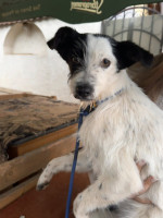 /album/251/601416019-1286566523502684-6721730300528718338-n-jpg/