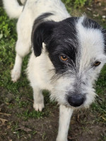 /album/251/597835886-1279770174182319-6270682390435423210-n-jpg/