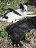 /album/251/576373671-1248963380596332-7334056513233696579-n-jpg/